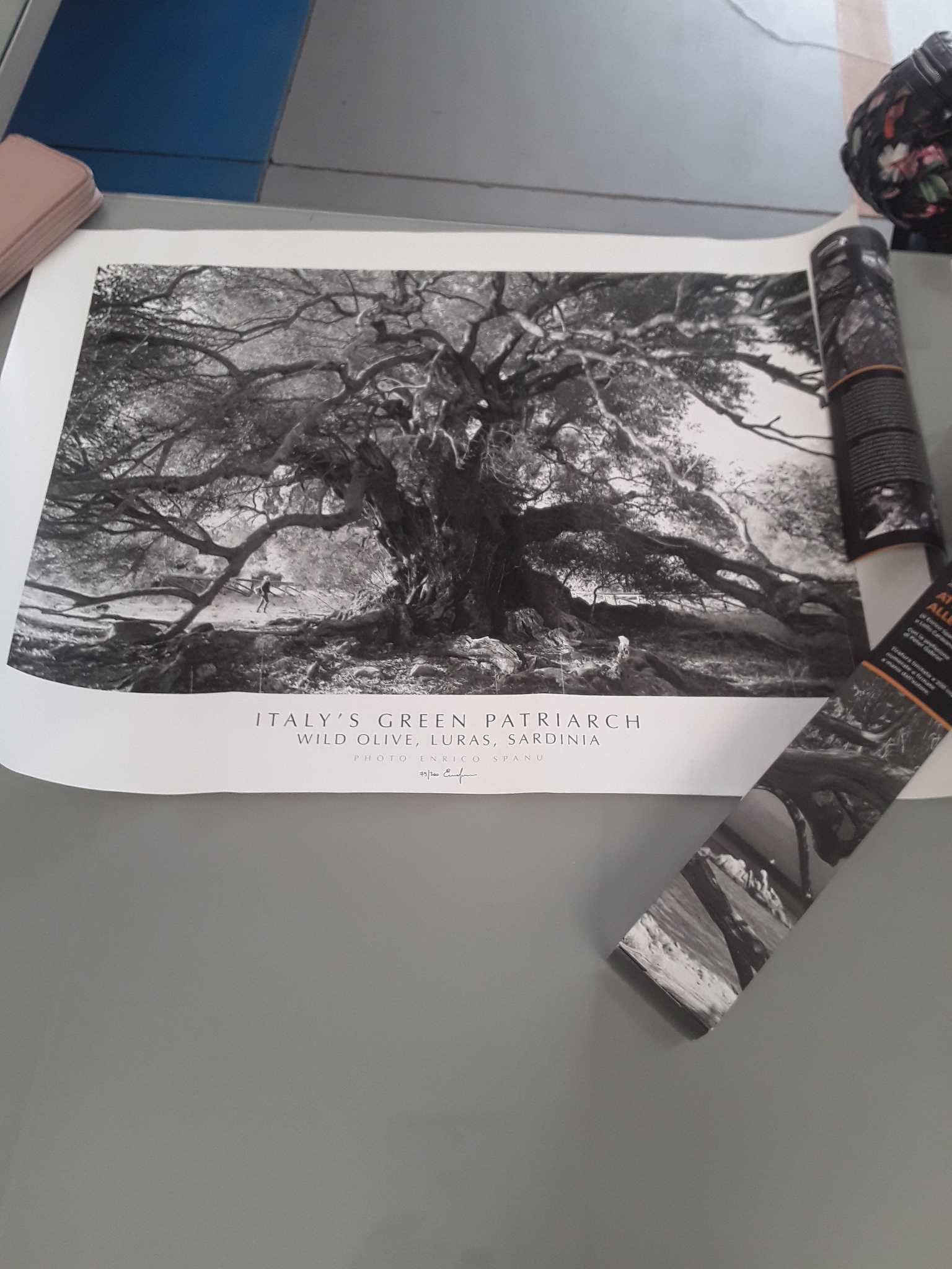 Stampa 50x70