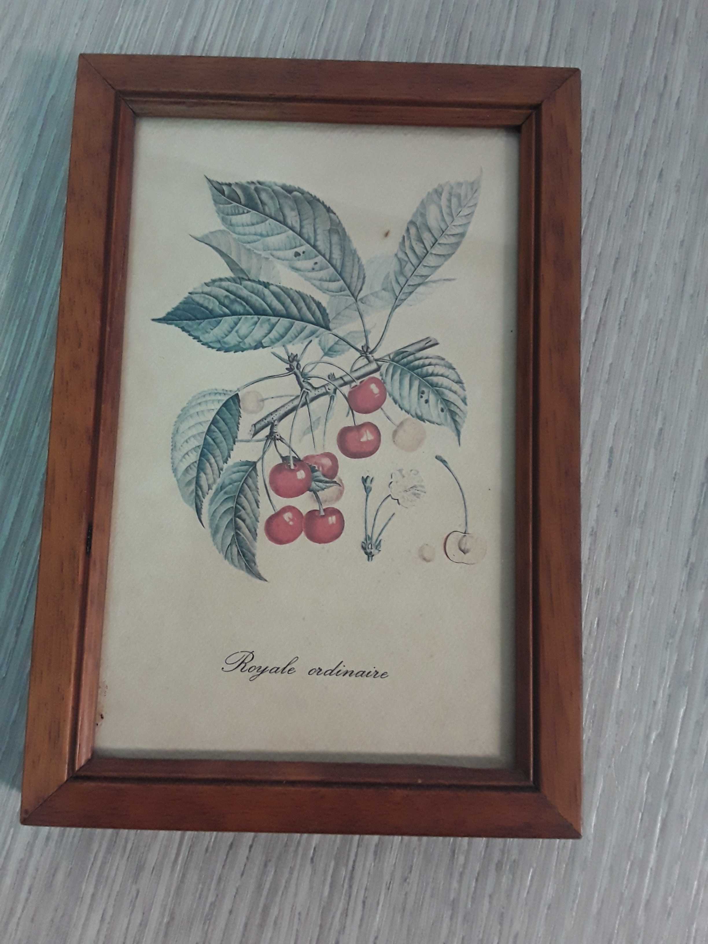 quadretto